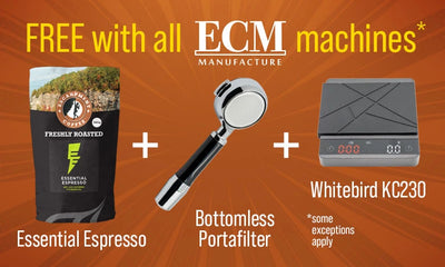 Banner image - banner-upload-tmpvbxw9z4c.webp