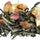 Tea - White Honey Figs Tea